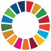 sdg'sバッジ